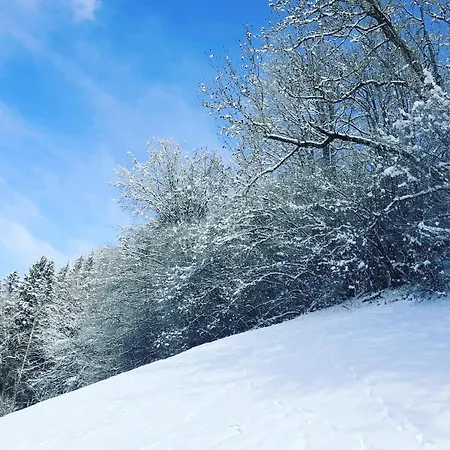 Haus Hoellwart Apartament Sankt Johann im Pongau