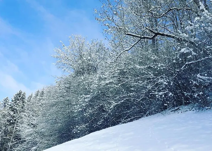 Haus Hoellwart Lägenhet Sankt Johann im Pongau