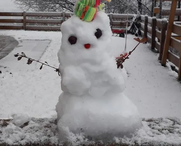 Appartement Haus Hoellwart *